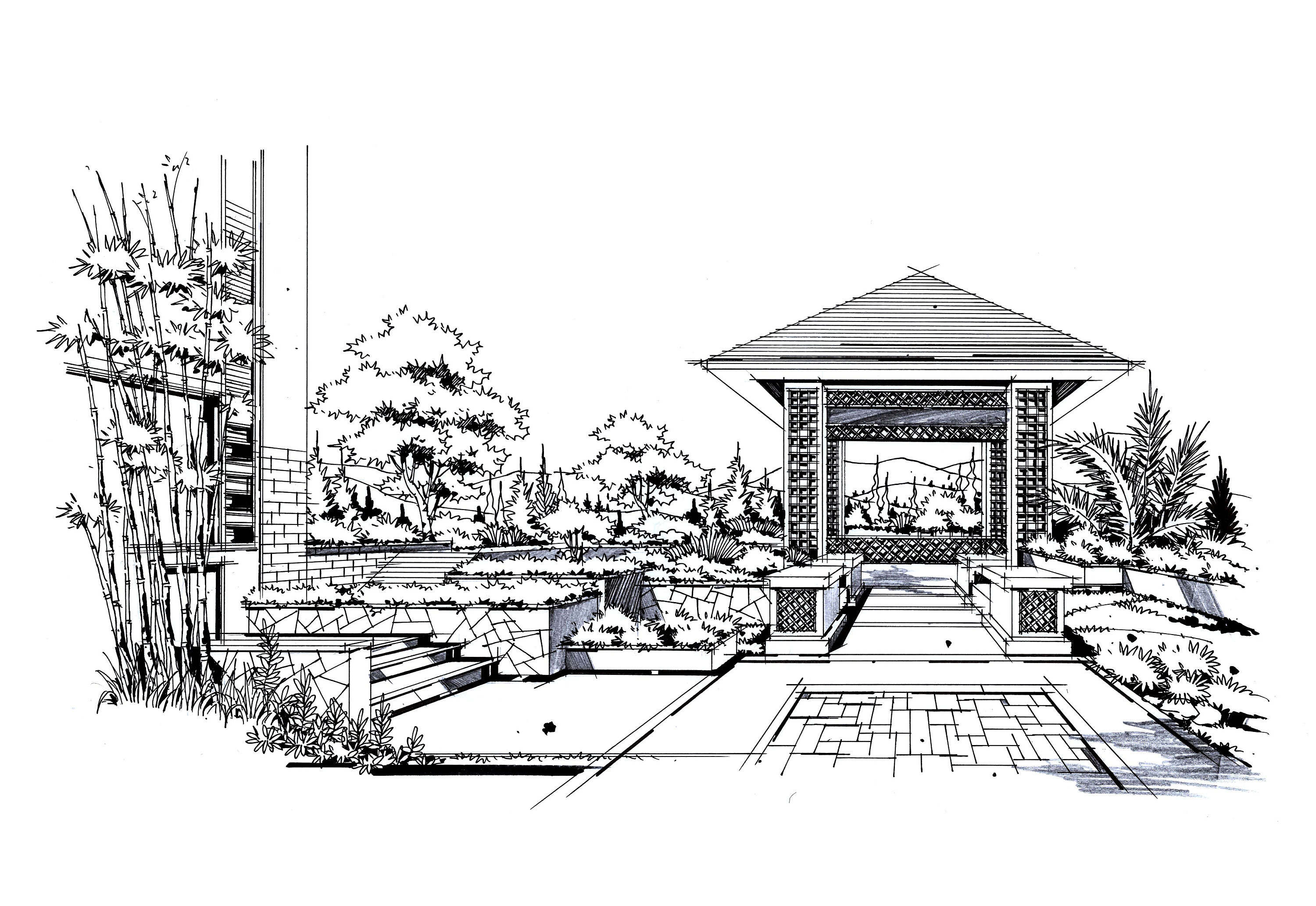 園林景觀手繪|純藝術(shù)|鋼筆畫|晉繪丨小威 